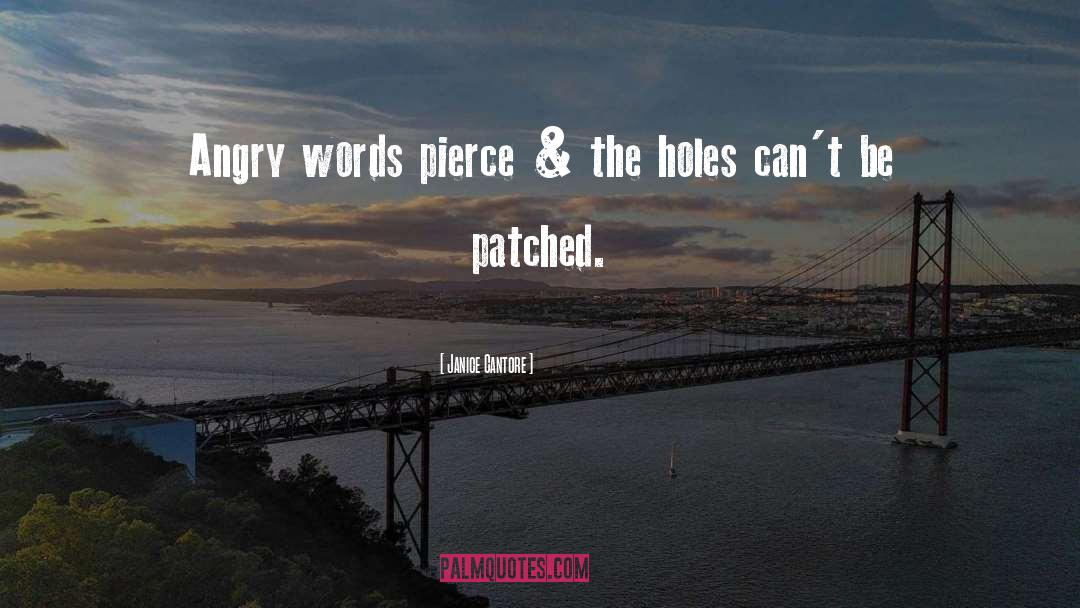 Angry Words quotes by Janice Cantore