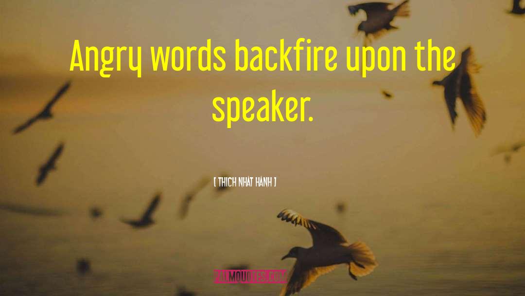 Angry Words quotes by Thich Nhat Hanh