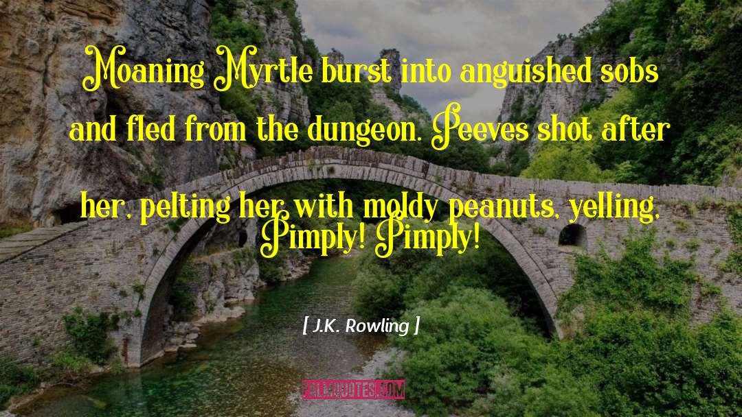 Anguished quotes by J.K. Rowling