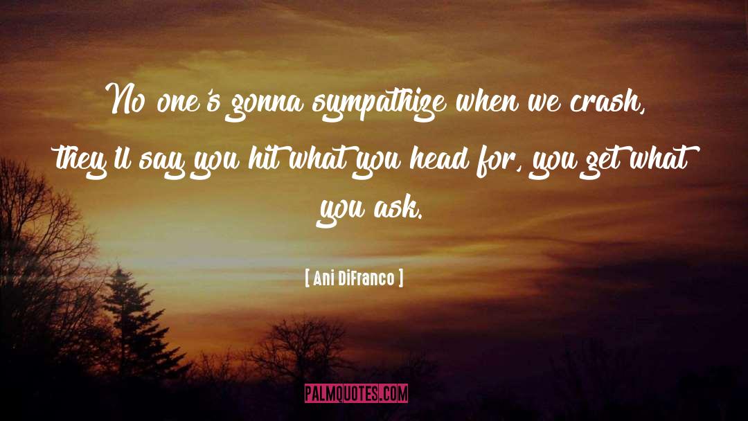Ani quotes by Ani DiFranco