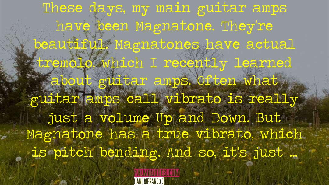 Ani quotes by Ani DiFranco