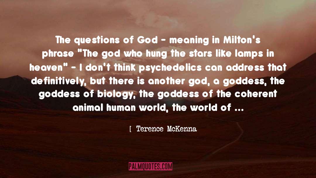 Anima Mundi quotes by Terence McKenna