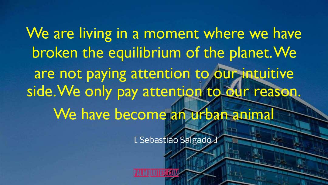 Animal Activism quotes by Sebastiao Salgado
