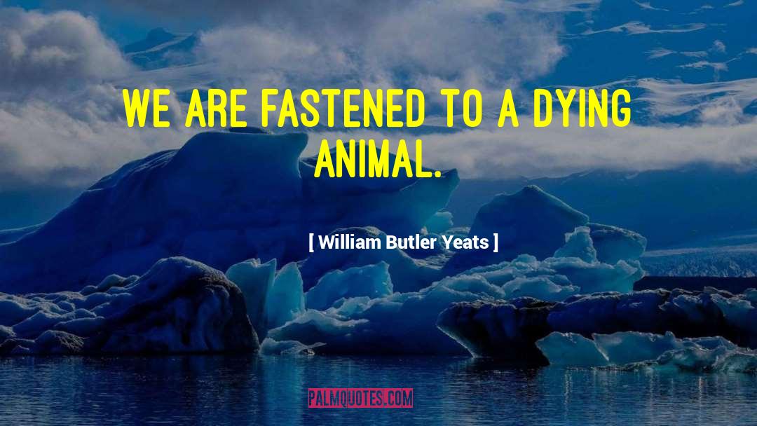 Animal Activism quotes by William Butler Yeats