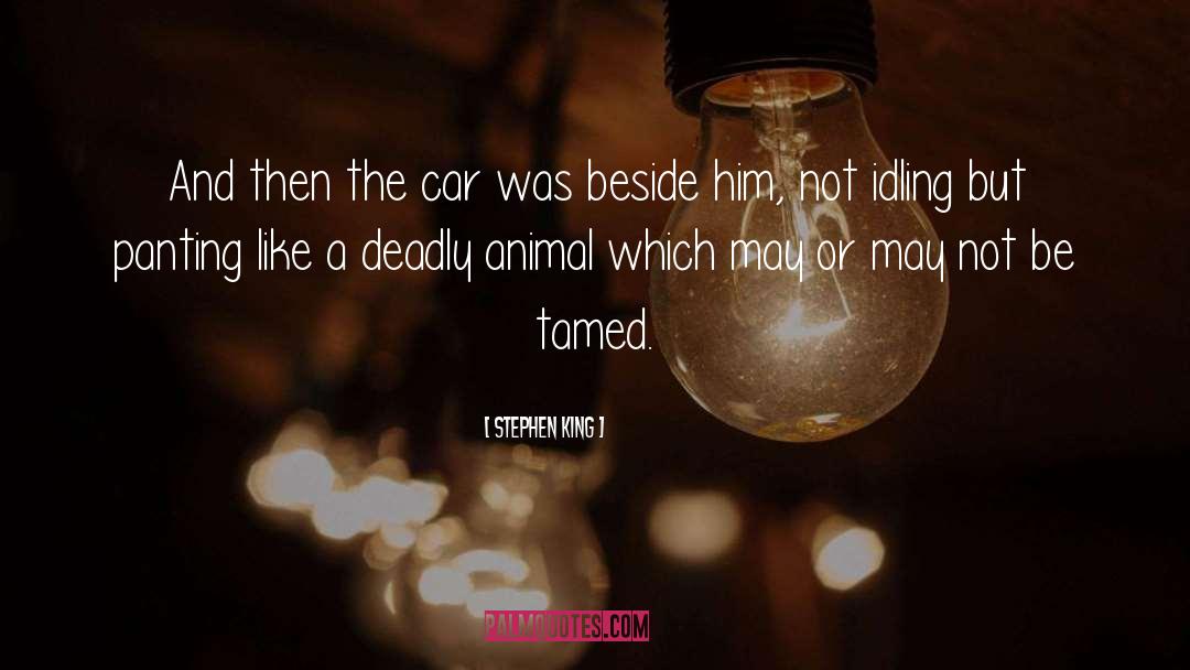 Animal Activism quotes by Stephen King