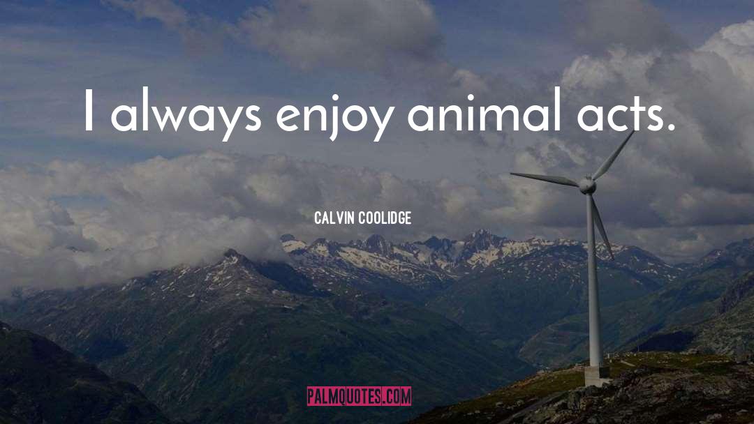 Animal Activist quotes by Calvin Coolidge