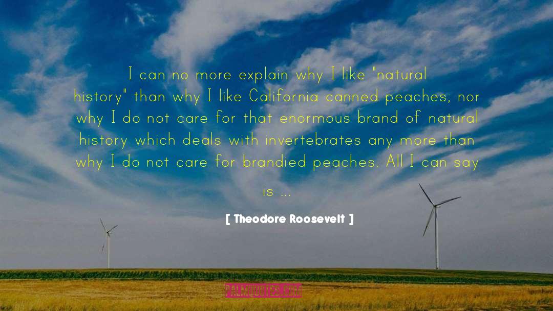 Animal Activist quotes by Theodore Roosevelt