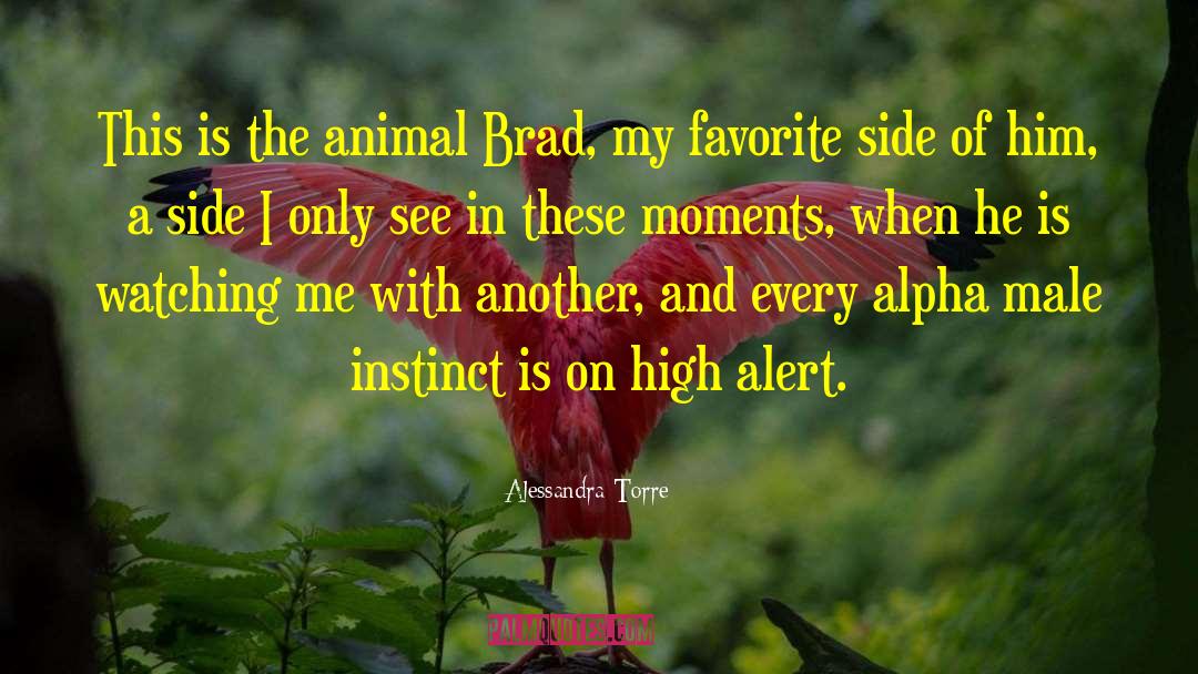 Animal Advocates quotes by Alessandra Torre