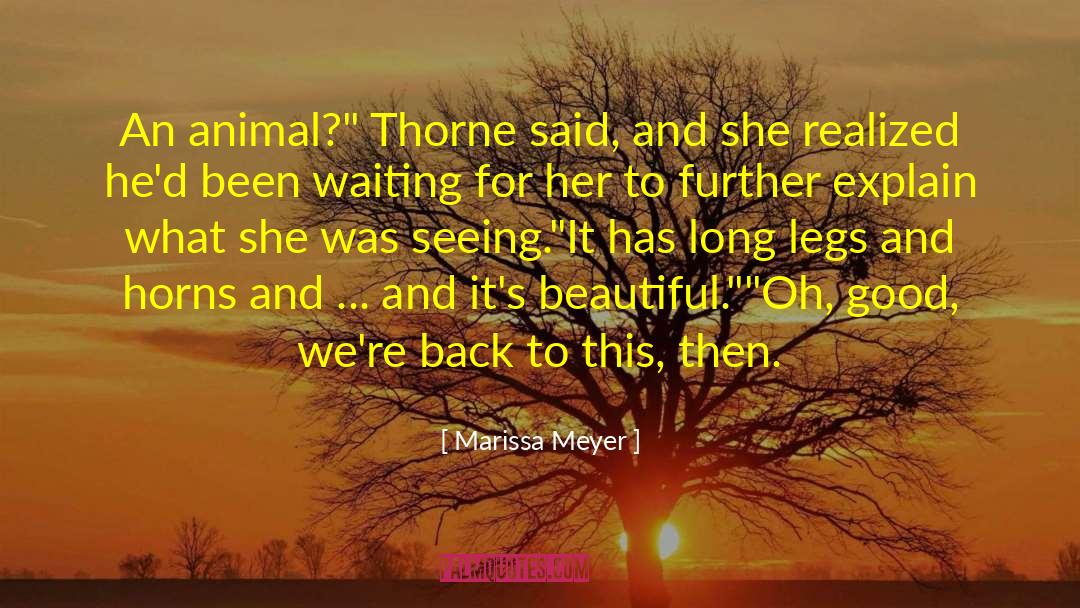 Animal Advocates quotes by Marissa Meyer