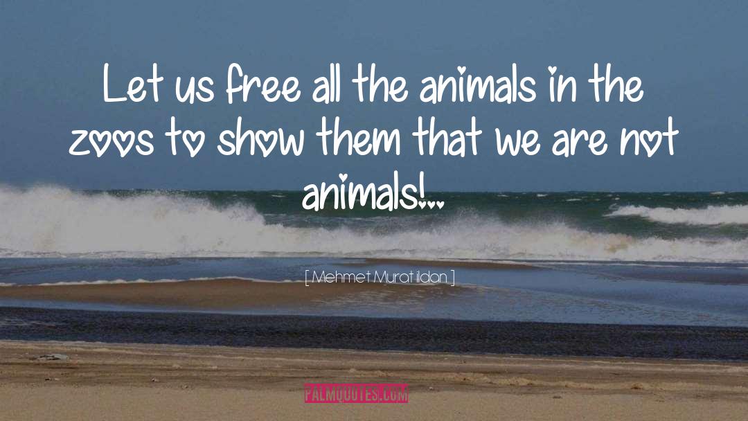 Animal Advocates quotes by Mehmet Murat Ildan