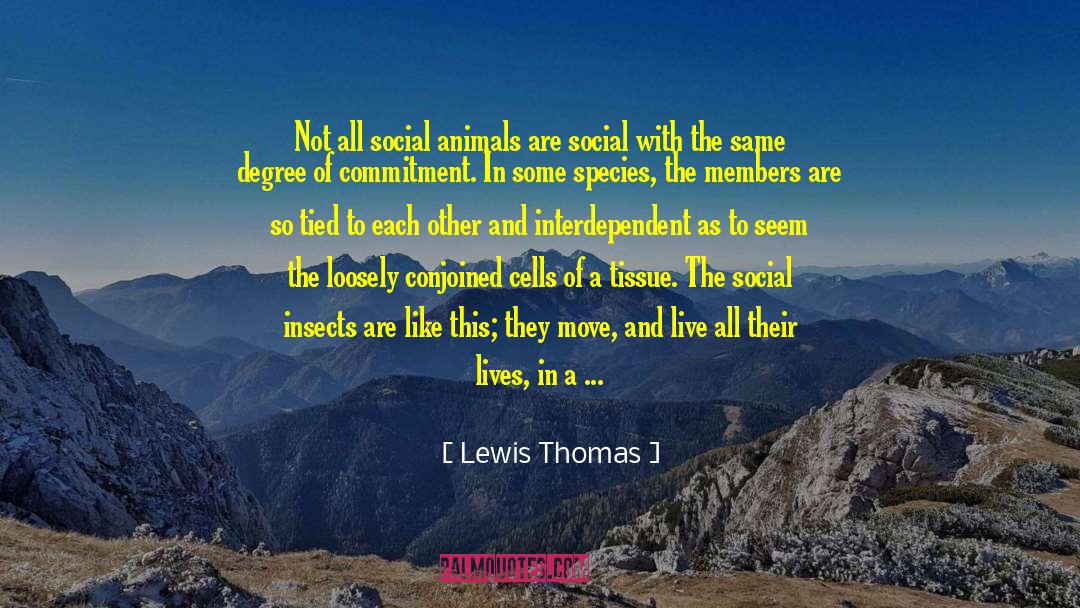 Animal Agriculture quotes by Lewis Thomas