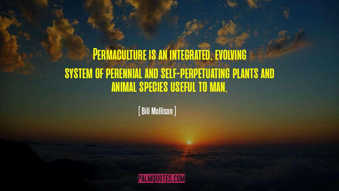 Animal Behaviour quotes by Bill Mollison