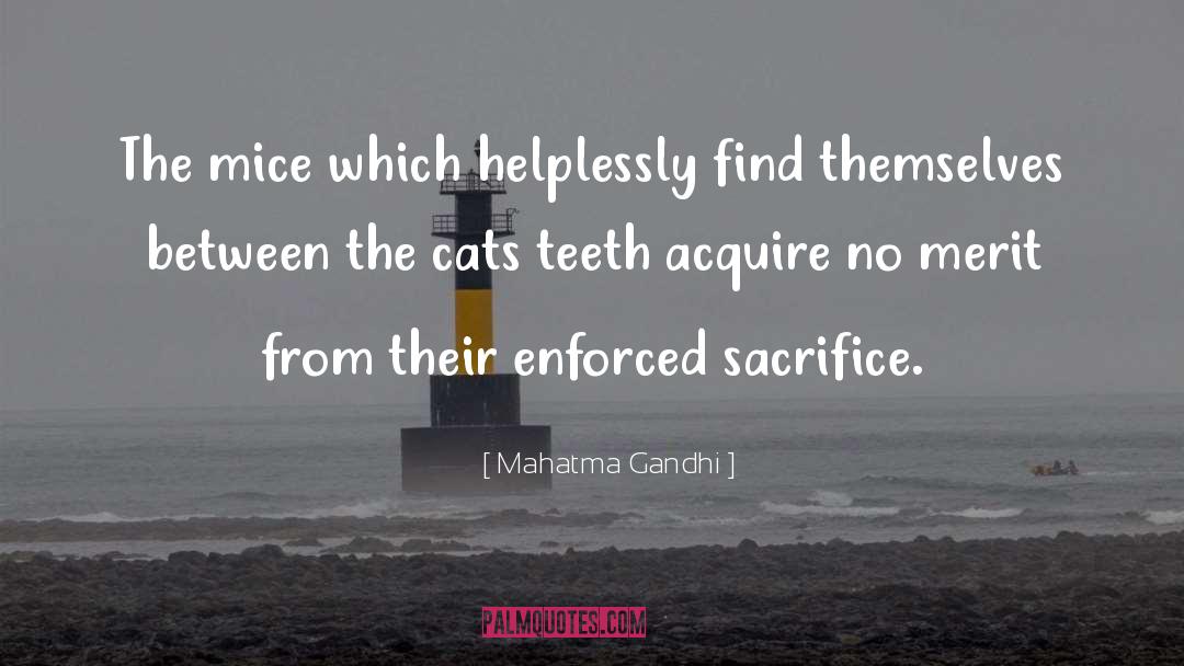 Animal Behaviour quotes by Mahatma Gandhi