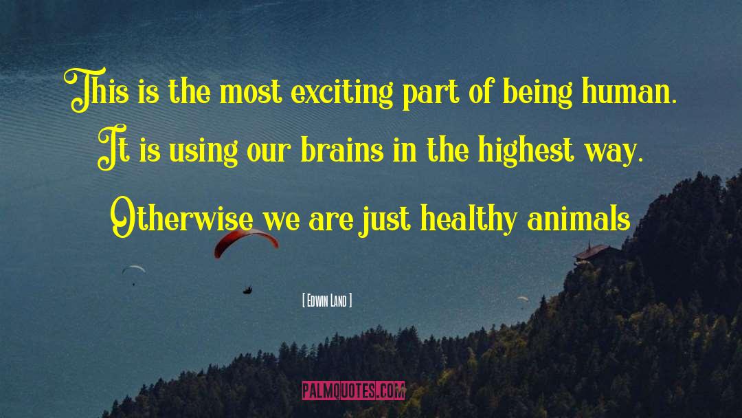 Animal Brain quotes by Edwin Land
