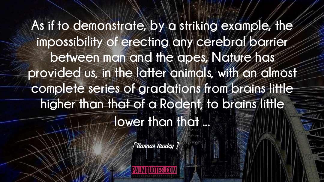 Animal Brain quotes by Thomas Huxley