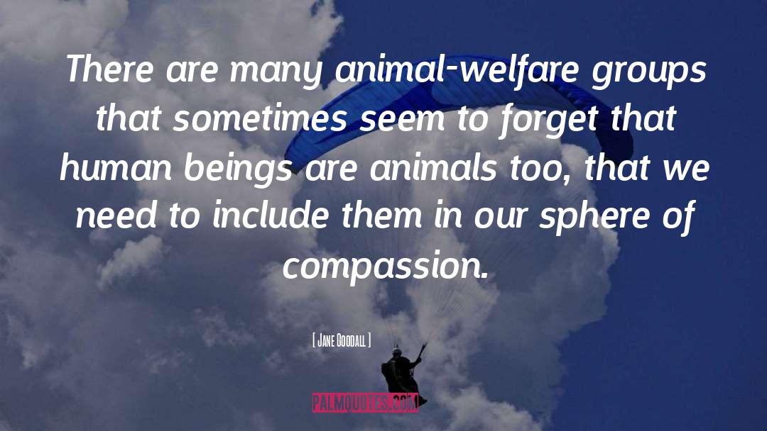 Animal Compassion quotes by Jane Goodall