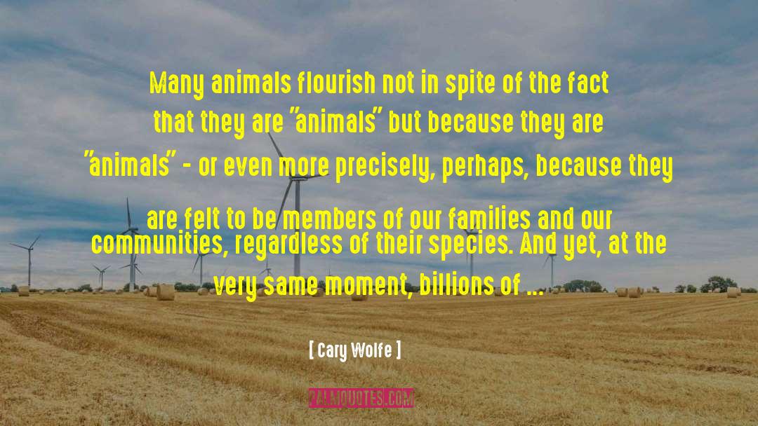 Animal Ethics quotes by Cary Wolfe