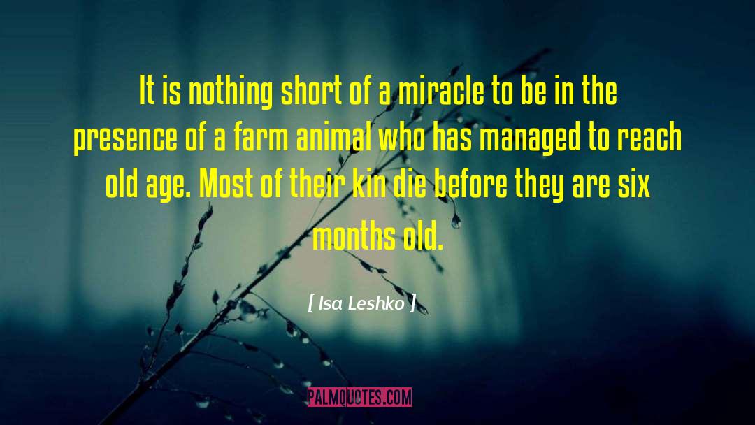 Animal Ethics quotes by Isa Leshko