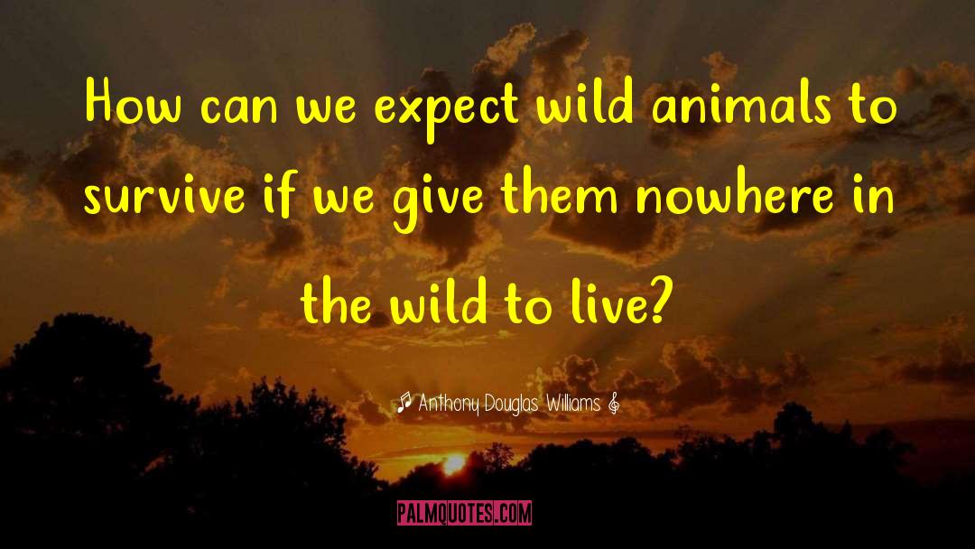 Animal Ethics quotes by Anthony Douglas Williams