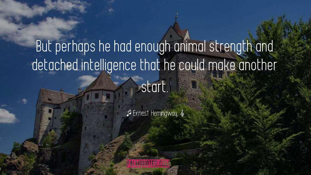 Animal Evolution quotes by Ernest Hemingway,