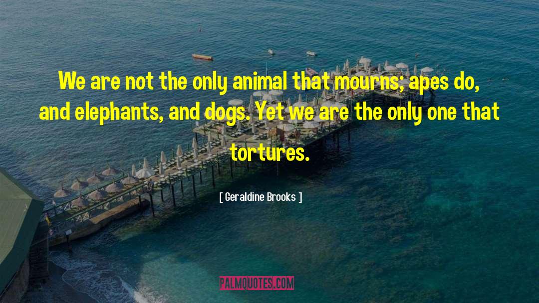 Animal Experimentation quotes by Geraldine Brooks