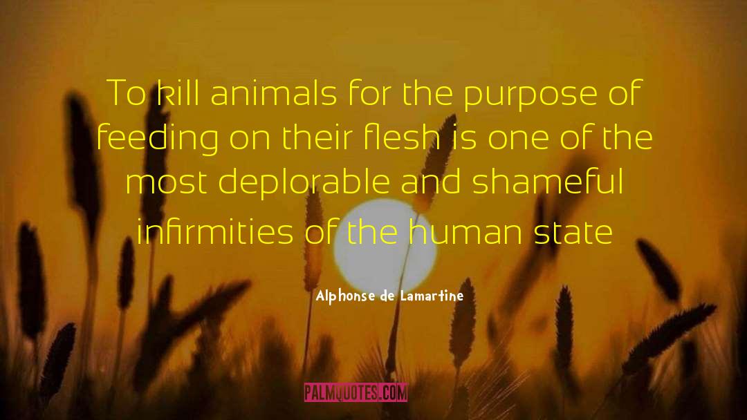 Animal Experimentation quotes by Alphonse De Lamartine