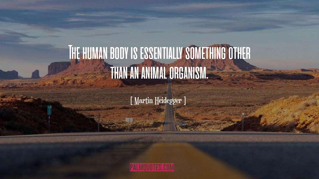 Animal Experimentation quotes by Martin Heidegger