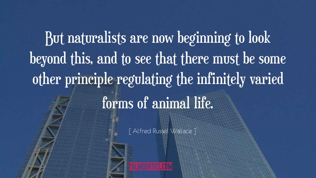 Animal Exploitation quotes by Alfred Russel Wallace