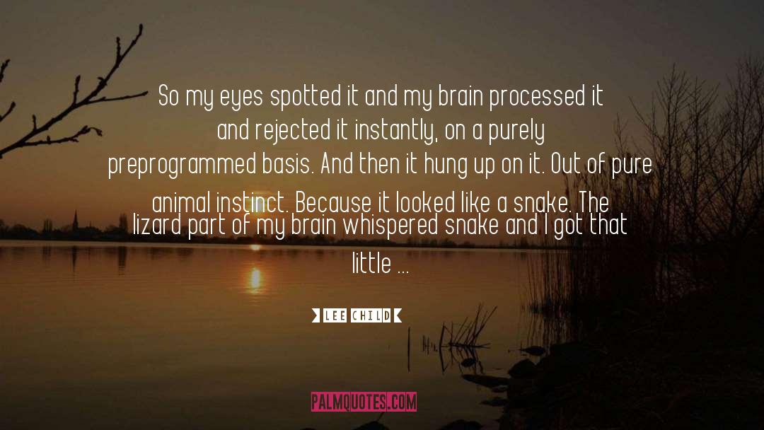 Animal Instinct quotes by Lee Child