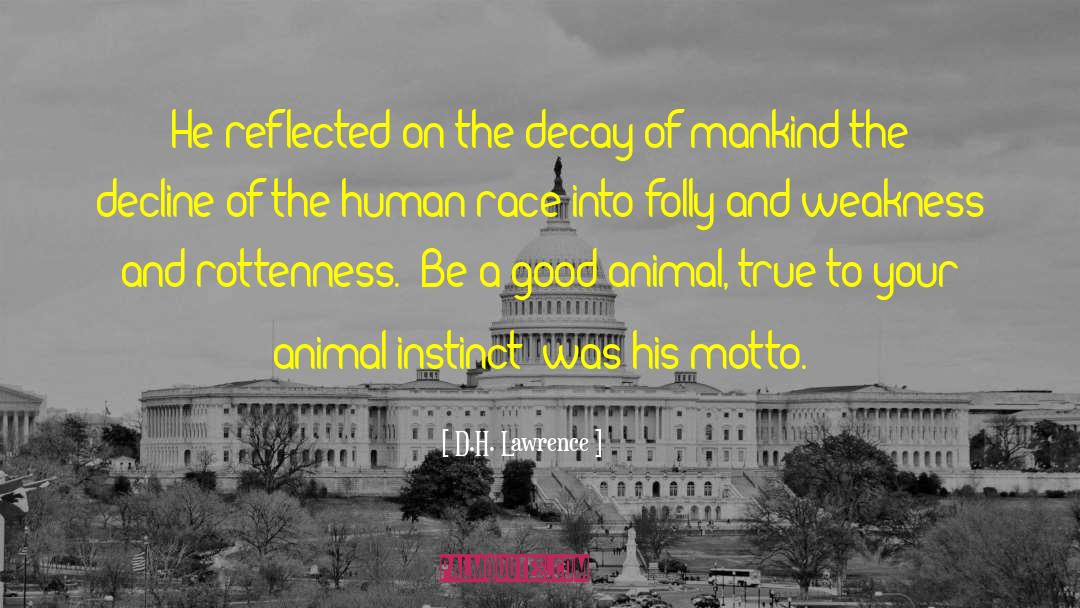 Animal Instinct quotes by D.H. Lawrence