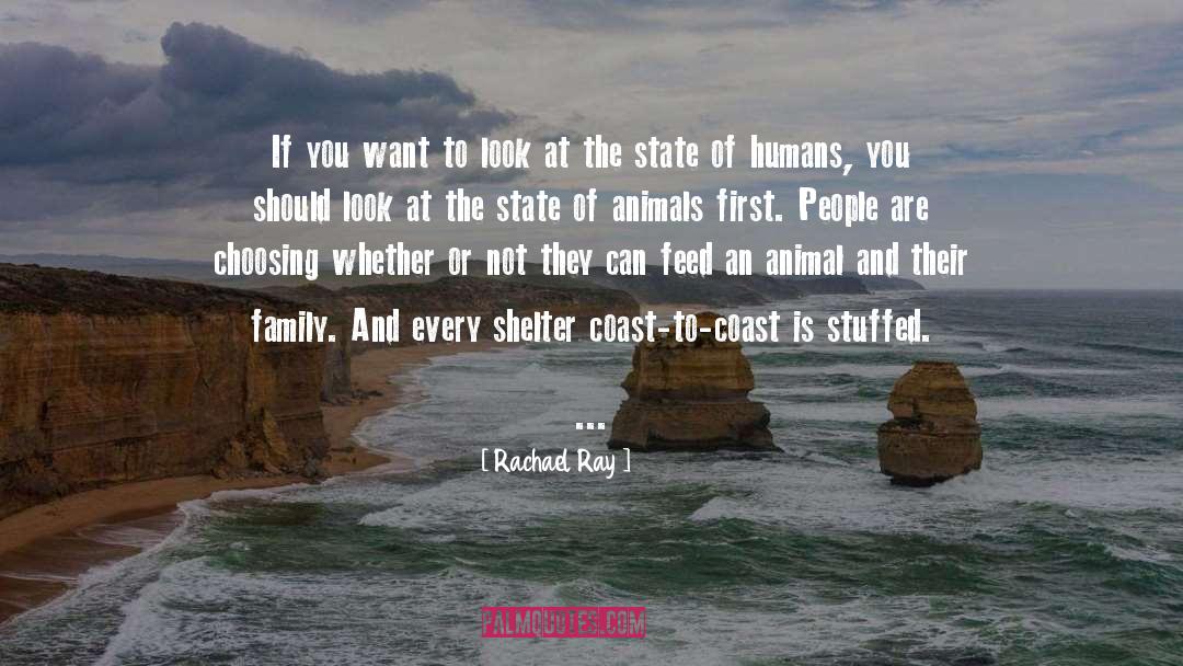 Animal Instincts quotes by Rachael Ray