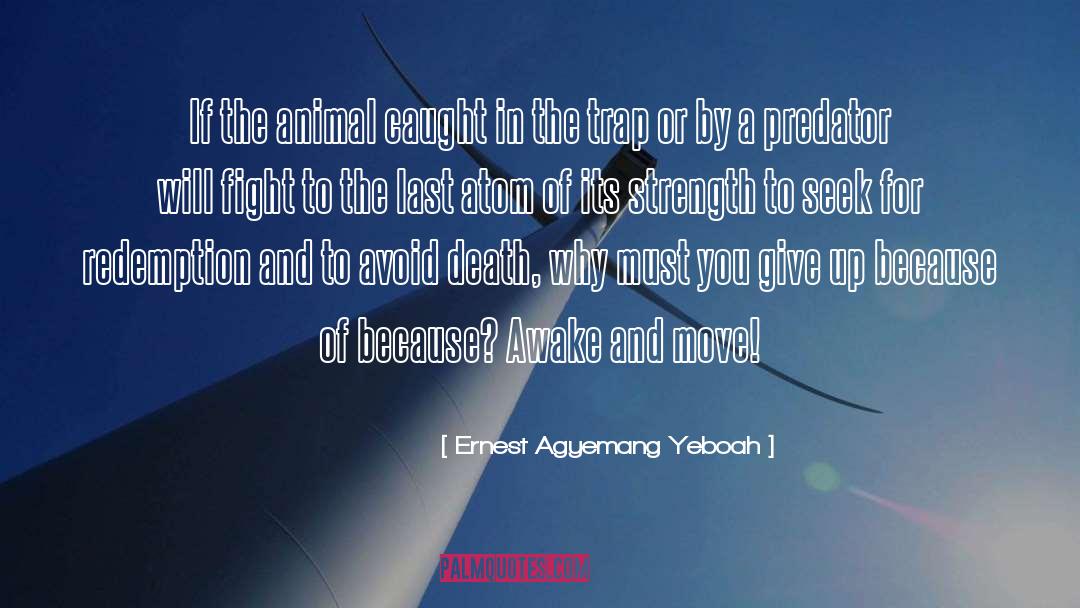 Animal Kindness quotes by Ernest Agyemang Yeboah