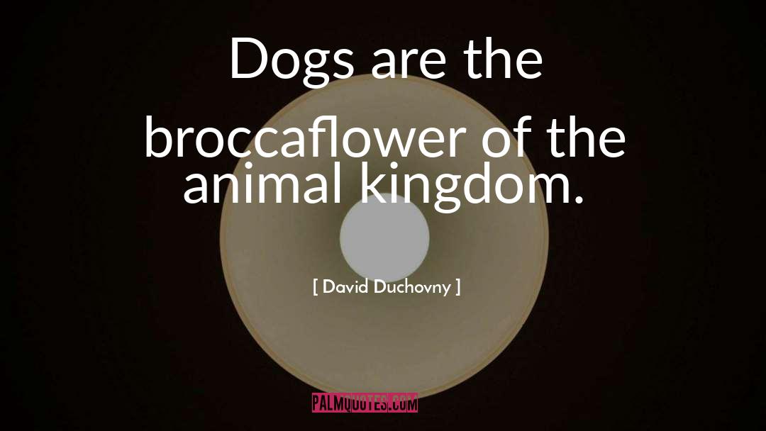 Animal Kingdom quotes by David Duchovny