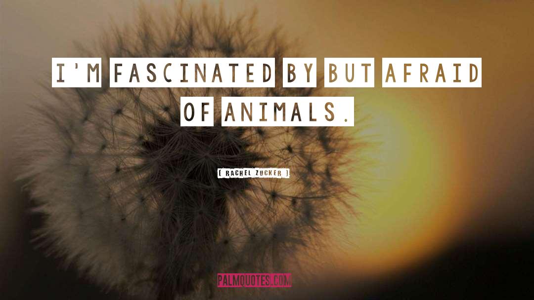 Animal Liberation quotes by Rachel Zucker