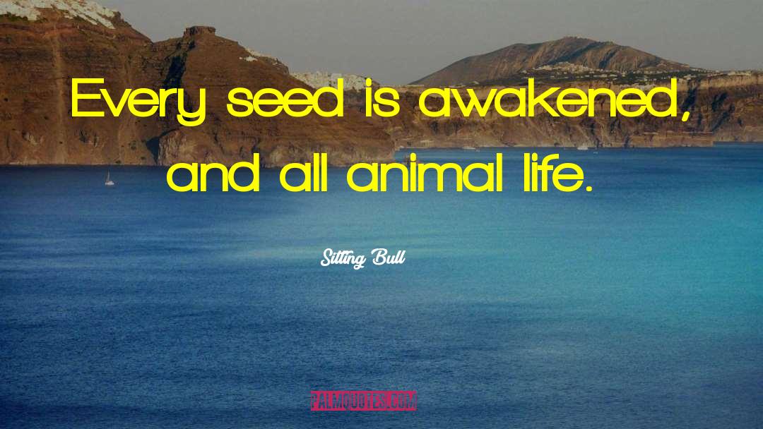 Animal Life quotes by Sitting Bull