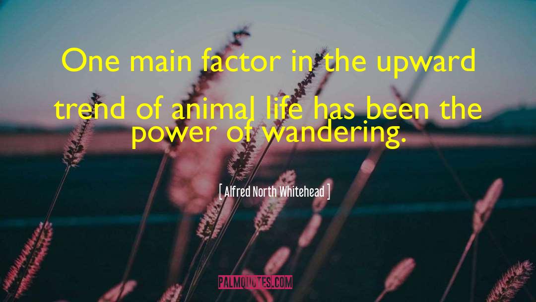 Animal Life quotes by Alfred North Whitehead