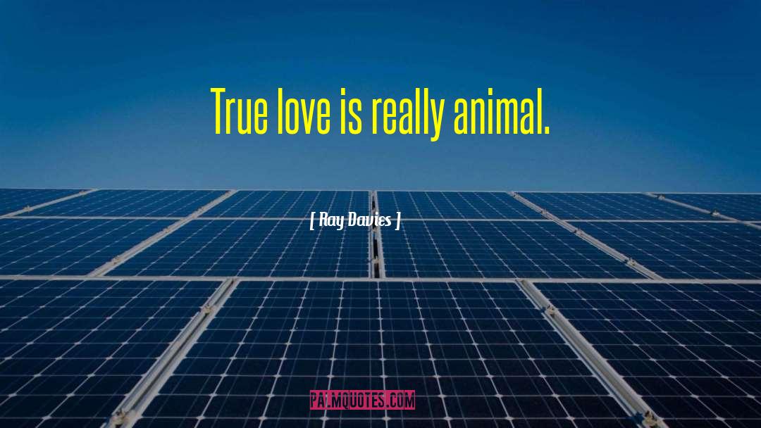 Animal Love quotes by Ray Davies