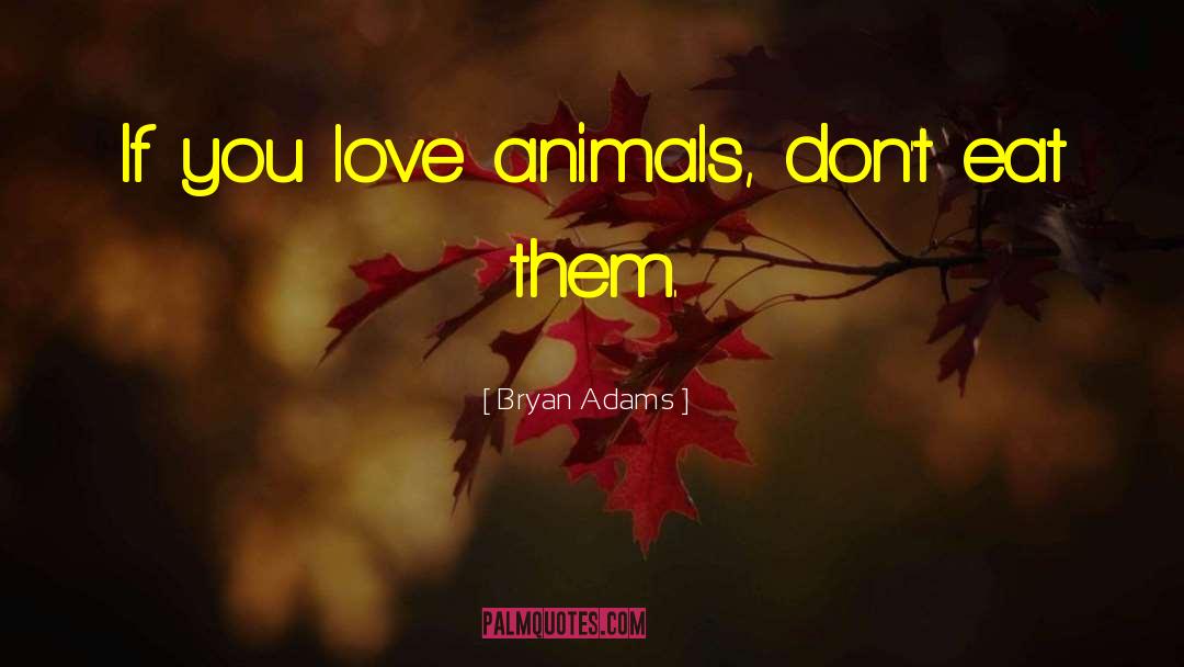 Animal Love quotes by Bryan Adams