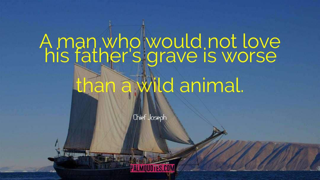 Animal Love quotes by Chief Joseph