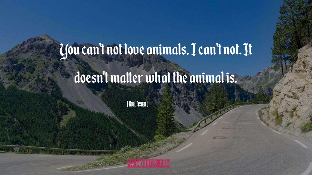 Animal Love quotes by Noel Fisher