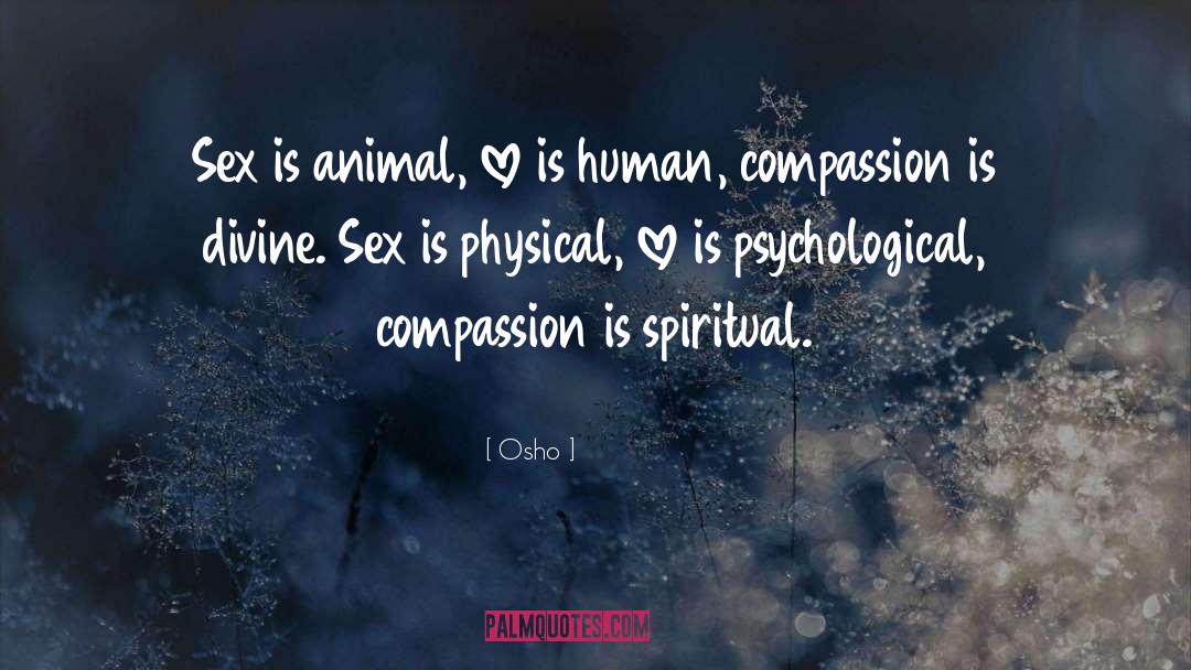 Animal Love quotes by Osho