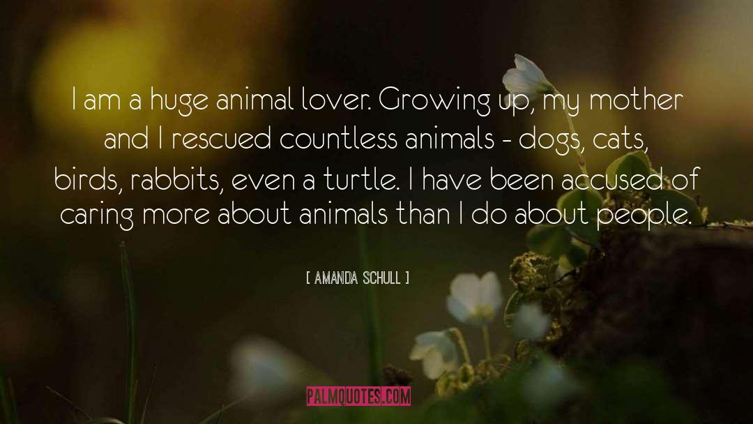 Animal Lover quotes by Amanda Schull