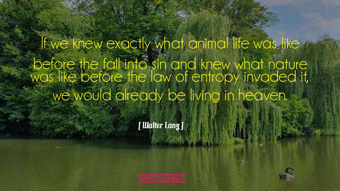 Animal Magic quotes by Walter Lang