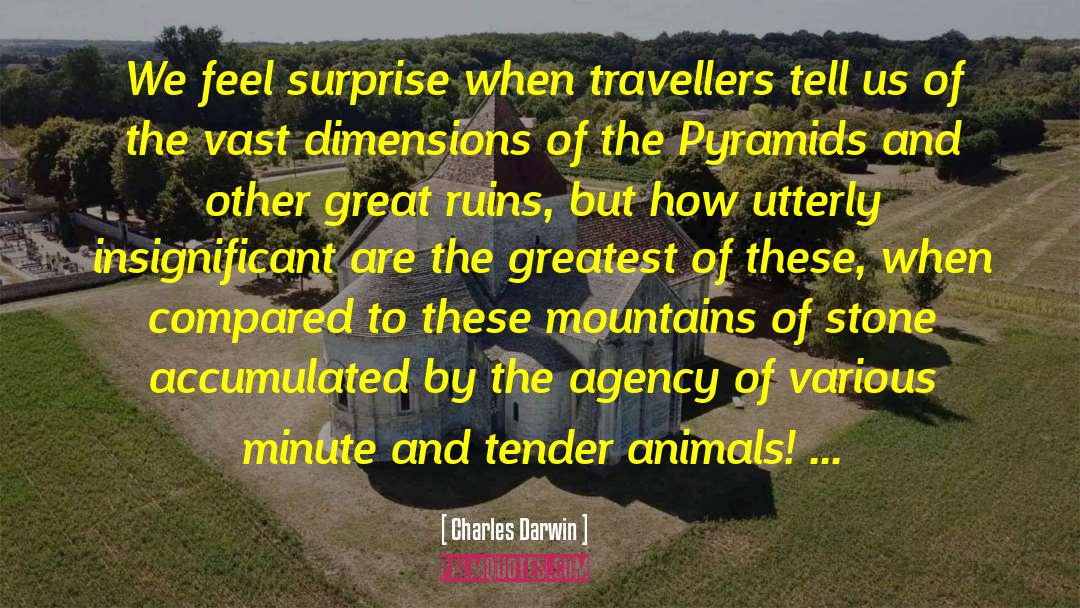Animal Metaphor quotes by Charles Darwin
