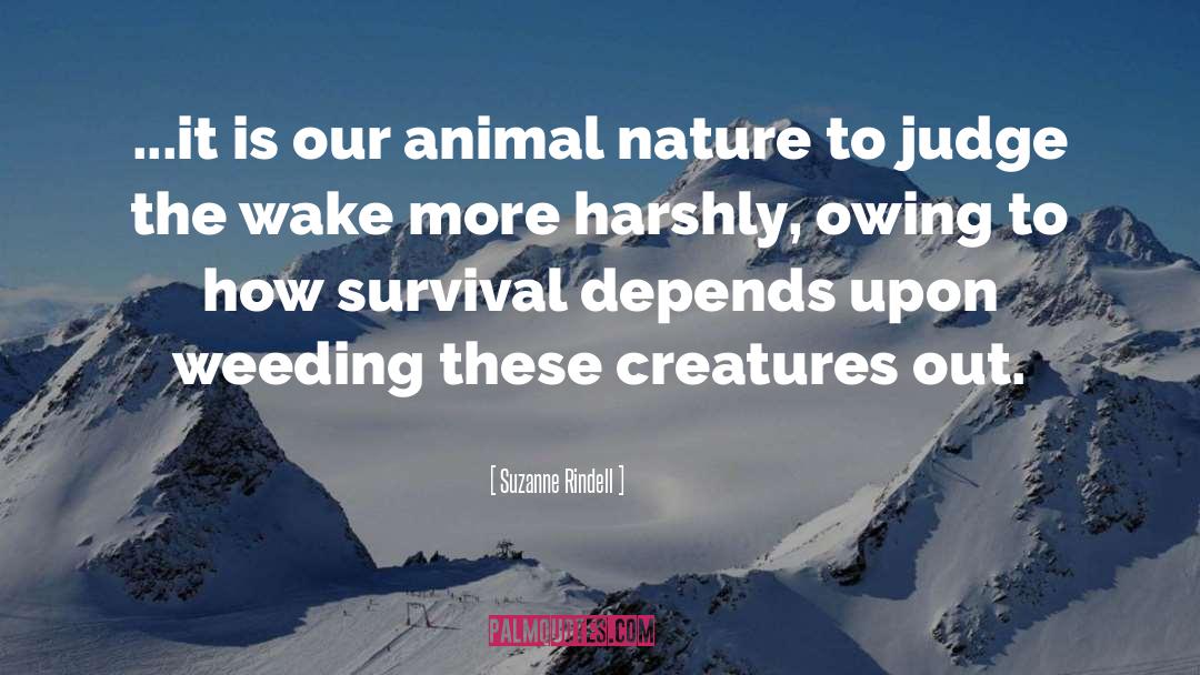 Animal Nature quotes by Suzanne Rindell