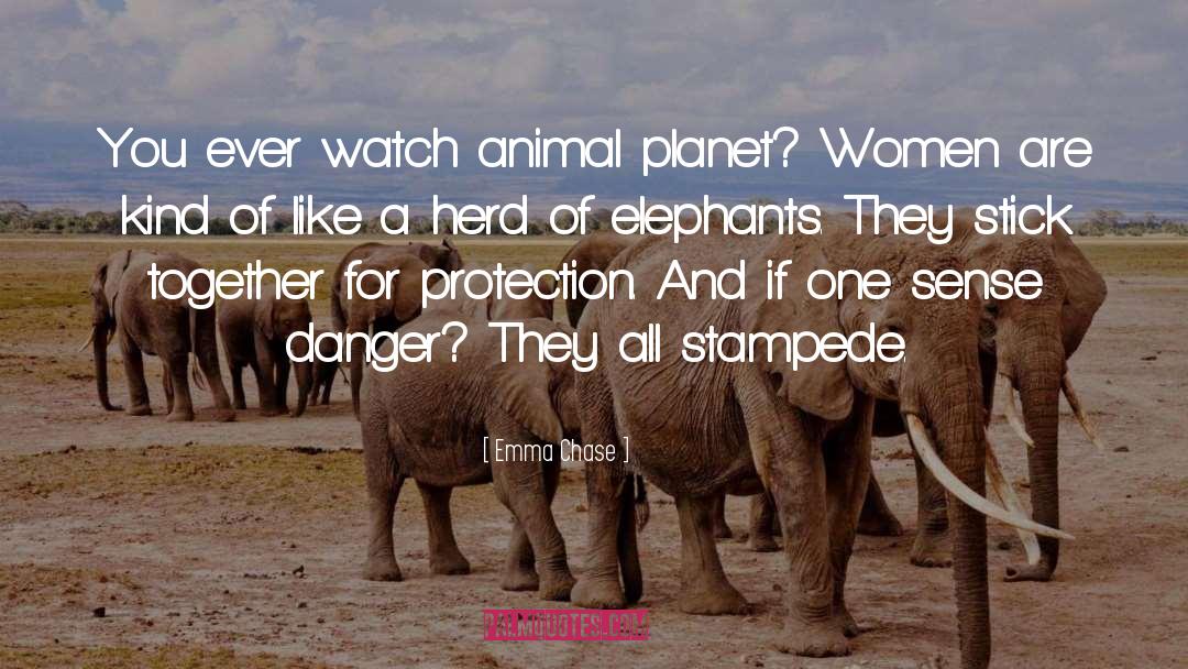 Animal Planet quotes by Emma Chase