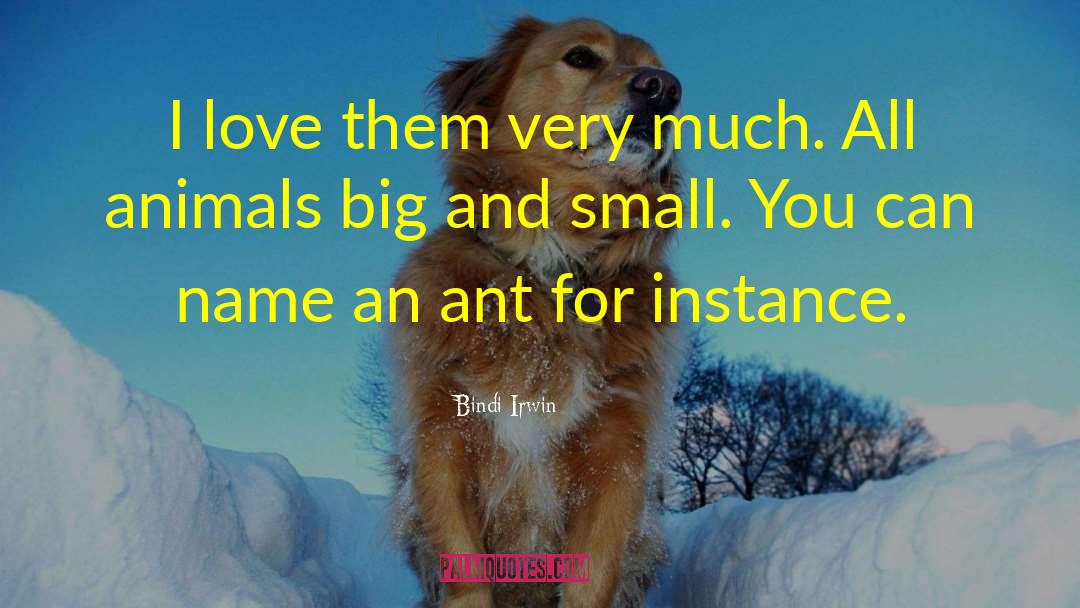 Animal Protection quotes by Bindi Irwin
