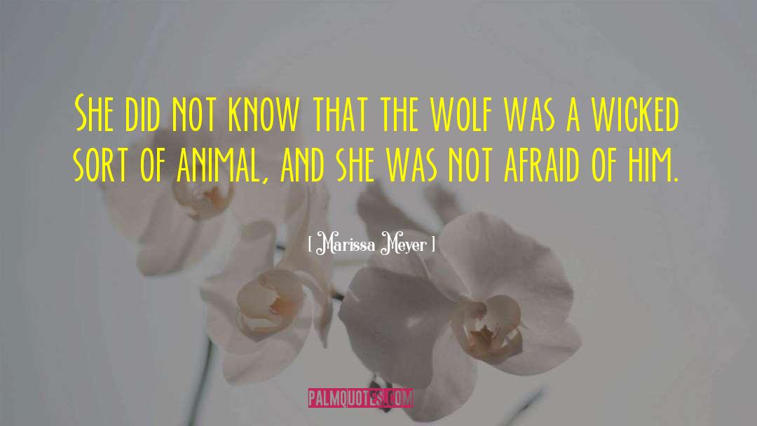 Animal Protection quotes by Marissa Meyer