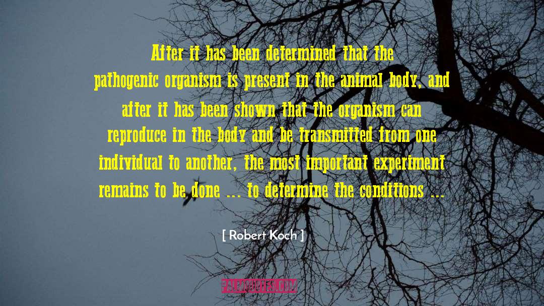 Animal Recovery quotes by Robert Koch