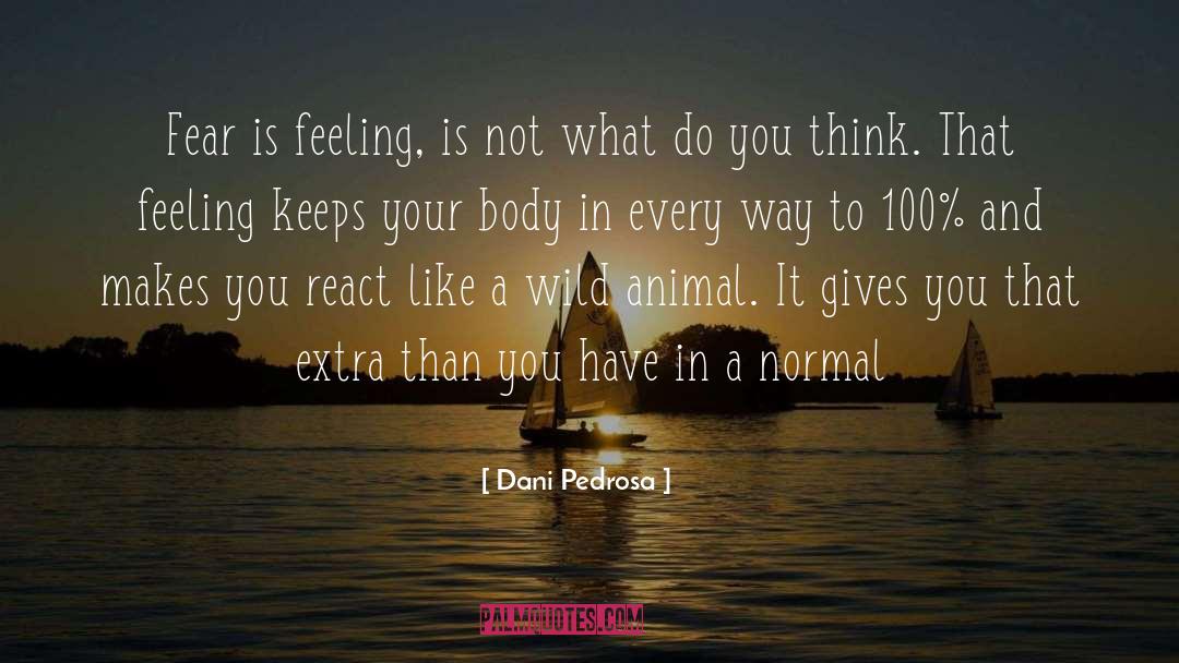 Animal Reiki quotes by Dani Pedrosa